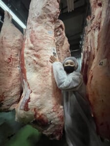 和牛女子が鹿児島黒牛チャンピオン牛を入荷しました！